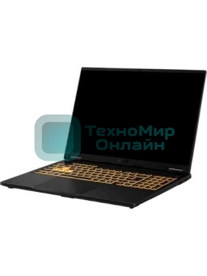 Ноутбук ASUS TUF Gaming F16 FX608JMR-RV114 Intel Core i7 14650HX 2200MHz/16