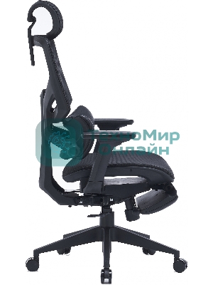 Кресло Cactus CS-CHR-MC01-BK черный, сетка, подголовник