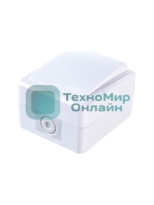 Выключатель 1-кл. ОП ЭРА Эксперт 10А IP54 11-1401-01 250 В 10AX бел.