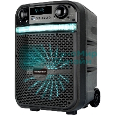 Акустическая система RUIMATECH VA-8610