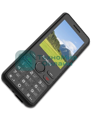 Мобильный телефон Xenium X280 черный