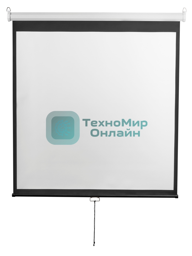 Экран 200x200см Digis Optimal-D DSOD-1105 1:1 настенно-потолочный рулонный