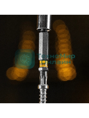 Набор бит Denzel TORX 25х50, сталь S2, шестигранный профиль, 10 шт.