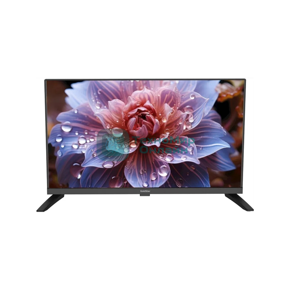 Телевизор GOLDSTAR 24