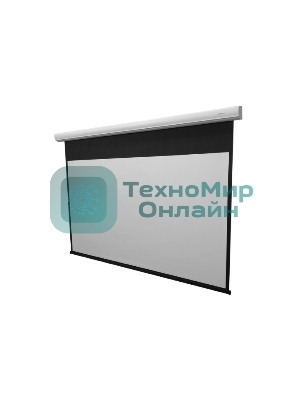 Экран с электроприводом Lumien Master Business Control 297х455 см, (раб.область 267х426 см) (198