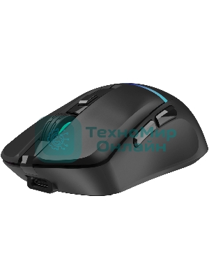 Мышь беспроводная Oklick 775GW черный, 5000 dpi, радиоканал, Bluetooth, USB, кнопки - 6