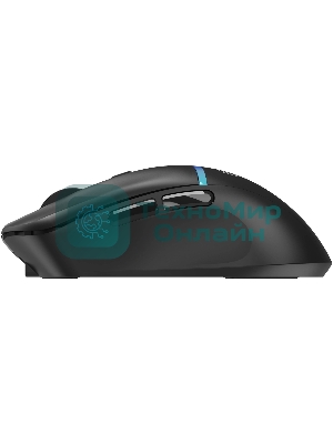 Мышь беспроводная Oklick 775GW черный, 5000 dpi, радиоканал, Bluetooth, USB, кнопки - 6