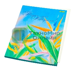 Папка для акварели Silwerhof 914008-54 A3 10 листов бумага 180г/м2