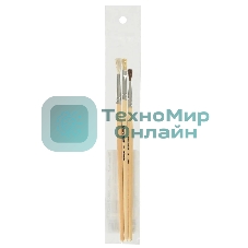 Набор кистей Silwerhof 980055 (набор 3шт) пони круглая №2/коза круглая №3/щетина плоская №4, деревянная ручка