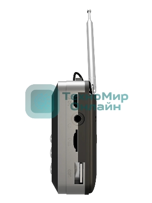 Радиоприемник SOUNDMAX SM-RD2116 черный