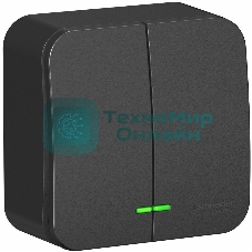 Выключатель 2-кл. ОП Blanca 10А IP20 (сх. 5) 250 В с подсветкой с изолир. пластиной антрацит SchE BLNVA105116