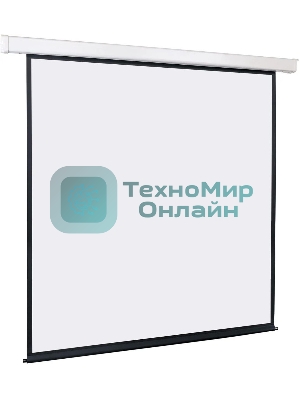 Экран LMC-100105 с электроприводом Lumien Master Control 244x244 см Matte White FiberGlass черная кайма по периметру