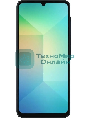 Смартфон Samsung Galaxy A06 SM-A065F 4/64Gb черный
