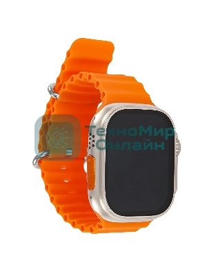 Умные часы BOROFONE (6941991100284) BD3 Gold