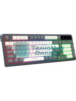 Клавиатура Oklick 731G проводная, USB Type-A, серый/белый