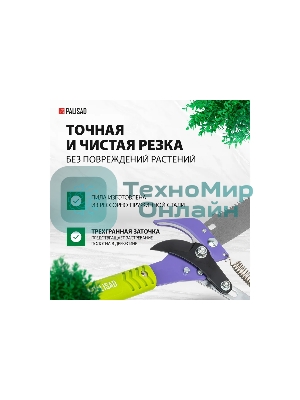 Сучкорез Palisad штанговый с пилой