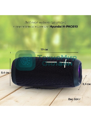 Портативная колонка Hyundai H-PAC610, 20Вт, темно-синий