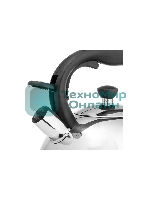 Чайник для плиты металлический Lara LR00-64, (матовый) 4 л, автоподъем крышки, индукционное капсулированное дно, нейлон. ручка