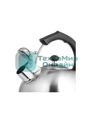 Чайник для плиты металлический Lara LR00-06 (матовый) 4.0 л, индукционное дно 0.3 мм