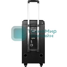 Колонка портативная Ural 103 черный 1200W 1.1 BT/3.5Jack/USB-C 15м 7000mAh