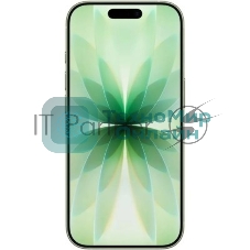 Смартфон Apple iPhone 17 A3520 8/512Gb шалфей