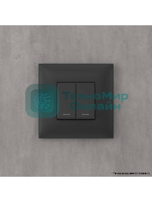 Выключатель двухклавишный DKC Avanti 4412104 