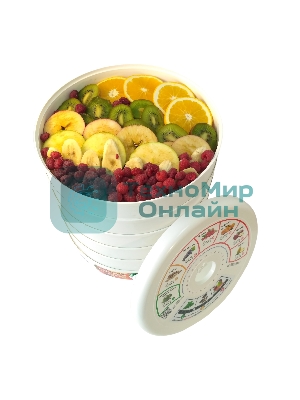 Сушилка для овощей и фруктов Renova DVN31-500/5(R)