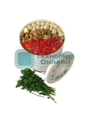 Сушилка для овощей и фруктов Renova DVN31-500/5(R)