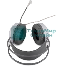 Гарнитура проводная с микрофоном Оклик HS-L300G White белый 2.2м мониторные USB оголовье (1796952)