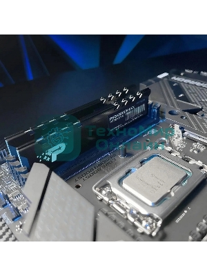 Оперативная память Patriot Signature Premium, DDR5, 64Gb (2x32 Gb), 4800 MHz, CL40, DIMM, радиатор, черный