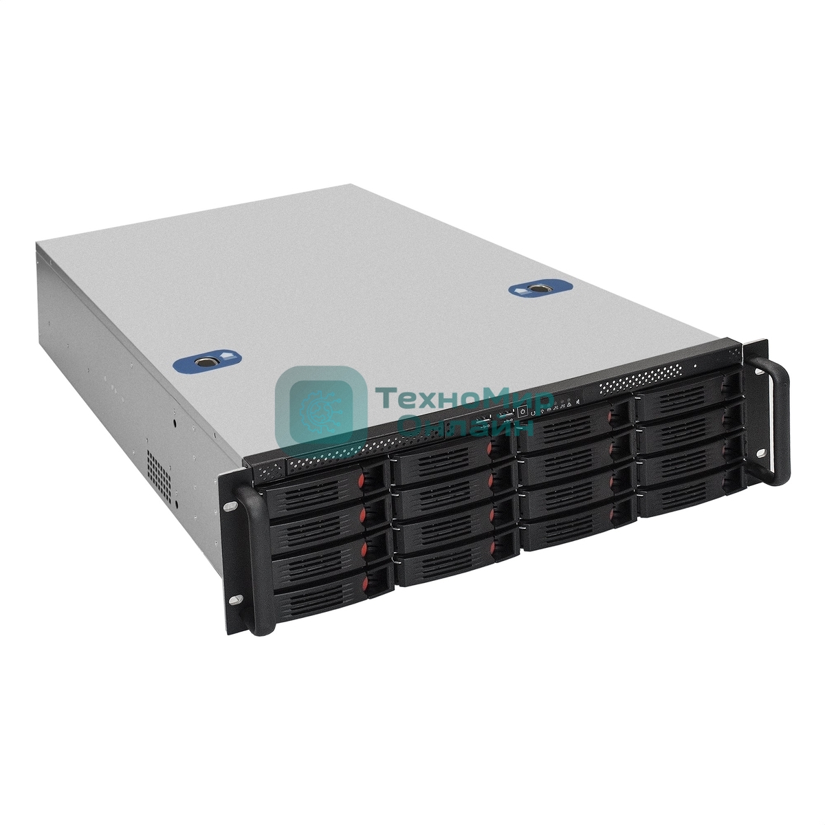 Серверная платформа ExeGate EX292419RUS Pro 3U660-HS16 (RM 19