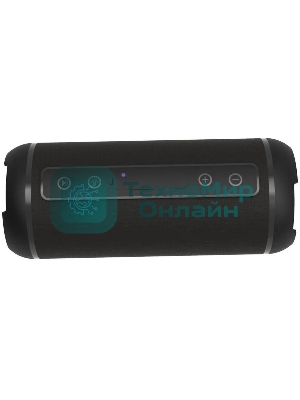 Портативная колонка Ritmix SP-320B черный