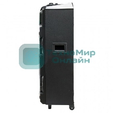 Колонка Eltronic 10