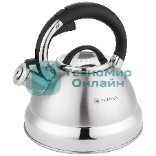 Чайник для плиты со свистком Zeidan Z-4500 3 л