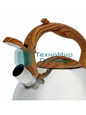 Чайник для плиты ALPENKOK AK-517 3,0 л