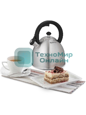 Чайник для плиты металлический Rondell Cassia RDS-1886 3.0 л. стальной