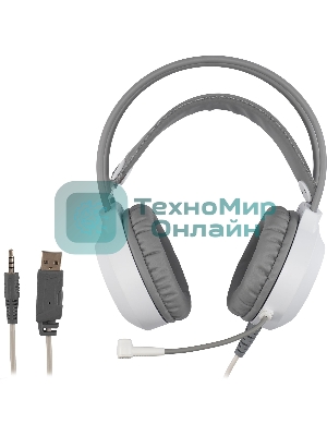 Гарнитура проводная с микрофоном Оклик HS-L300G White белый 2.2м мониторные USB оголовье (1796952)
