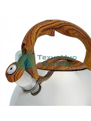 Чайник для плиты ALPENKOK AK-517 3,0 л