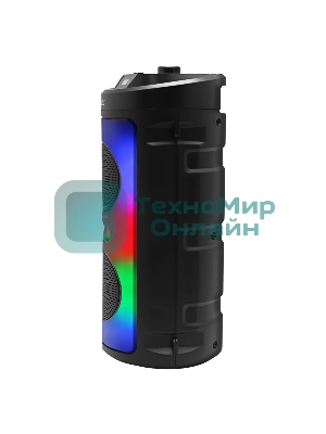 Акустическая система Midi GM-231 TWS/BT/USB/TF/FM/ДУ черный