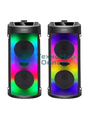 Акустическая система Midi GM-231 TWS/BT/USB/TF/FM/ДУ черный