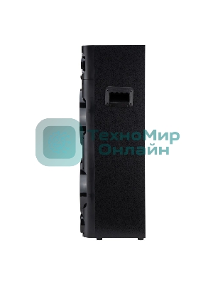 Колонка Eltronic 10