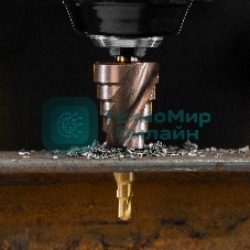 Сверло ступенчатое Denzel 4-6-8-10-12-14-16-18-20 мм, Р6М5К5, 6-гр. хвостовик 723613