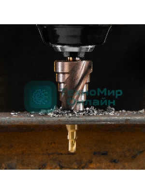 Сверло ступенчатое Denzel 4-6-8-10-12-14-16-18-20 мм, Р6М5К5, 6-гр. хвостовик 723613