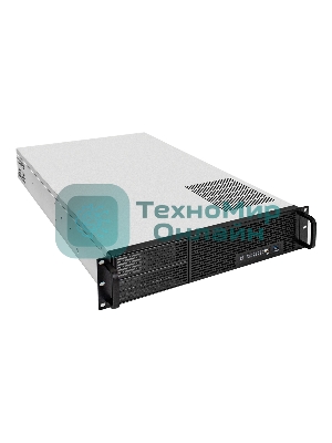 Серверная платформа ExeGate EX293877RUS Pro 2U650-06/2U2098L (RM 19