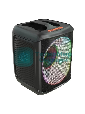 Колонка портативная MORE CHOICE BS65 черный