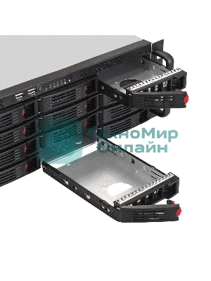 Серверная платформа ExeGate EX292421RUS Pro 3U660-HS16 (RM 19