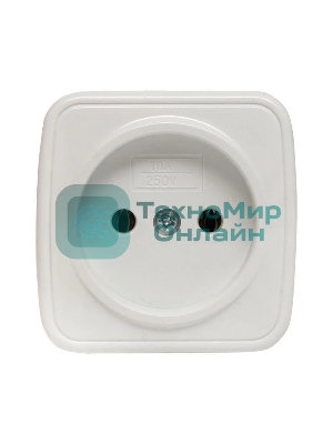 Розетка EKF EGR10-022-10 б/з, 10А, ОП Basic Минск белый