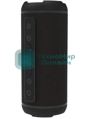 Портативная колонка Ritmix SP-320B черный