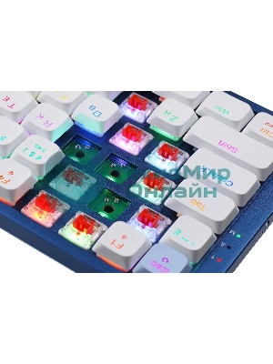 Клавиатура Redragon Eva Pro гибридная, USB Type-A, Bluetooth, радиоканал, белый/синий
