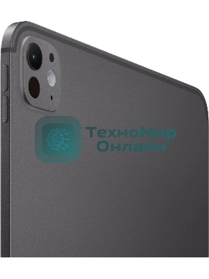 Планшет Apple iPad Pro 2024 A2836 11